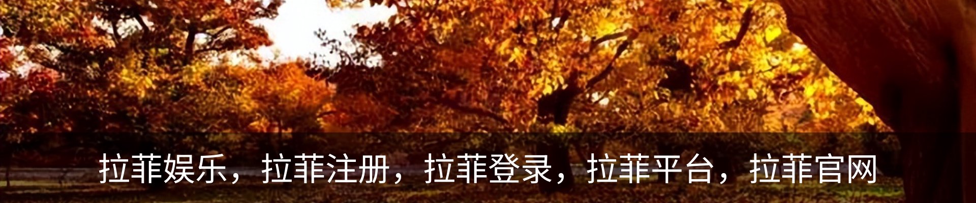 拉菲娱乐，拉菲注册，拉菲登录，拉菲平台，拉菲官网